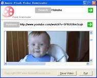 Amaze Flv Downloader screenshot